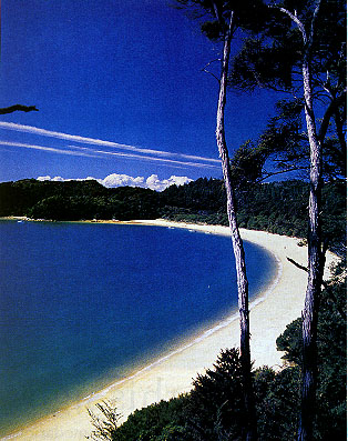 Golden Bay