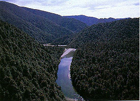 Trout Stream